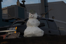 Concordia Shrinkwrap Snowman