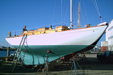 Concordia #3 Halcyon