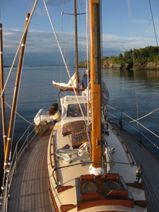 Duende at rest Concordia #5 Duende