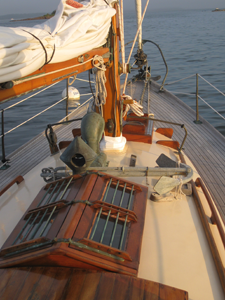 Duende Goslings, Casco Bay Concordia #5 Duende