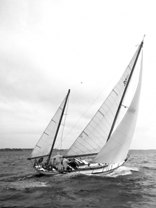 Buzzard’s Bay Concordia #5 Duende