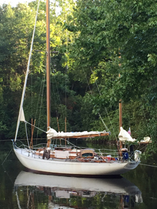 Intercostal Virginia 2015 Concordia #5 Duende