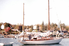 Duende Concordia #5 Duende