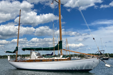 Duende Concordia #5 Duende