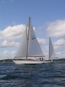 Georgetown, DC Concordia #6 Rowdy