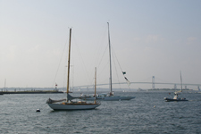 Newport Harbor Concordia #6 Rowdy