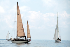 Rowdy Concordia #6 Rowdy