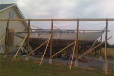 Arkansas Concordia #9 Whisper