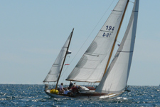 Winnie Concordia #11 Winnie of Bourne