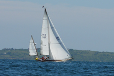 Winnie Concordia #11 Winnie of Bourne