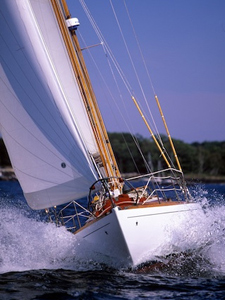 Jamestown Distributors June 2009 Catalog Cover Concordia #13 Phalarope