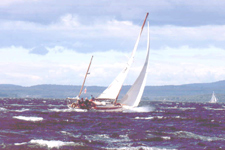Retired Skipper's Race August 19, 2007 Concordia #13 Phalarope