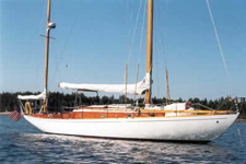 Brooklin Harbour Concordia #13 Phalarope