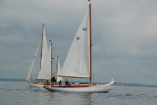 Phalarope Concordia #22 Hero