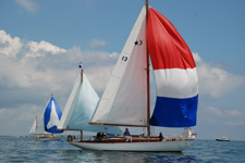 Phalarope Concordia #13 Phalarope