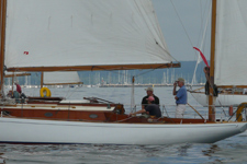 Phalarope Concordia #13 Phalarope