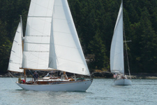 Lotus Concordia #15 Lotus