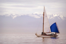 Olympic mountain range, Washington Concordia #15 Lotus