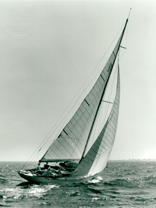 Concordia #17 Actaea