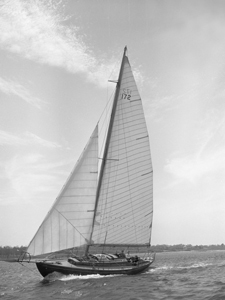 Concordia #17 Actaea