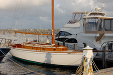 Concordia #17 Actaea