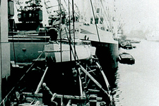 Concordia #17 Actaea