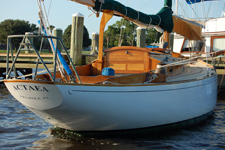 Concordia #17 Actaea