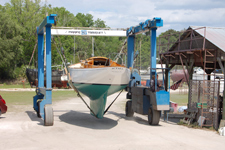 Concordia #17 Actaea