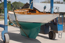 Concordia #17 Actaea