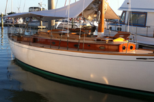 Concordia #17 Actaea