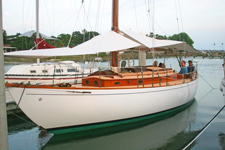 Concordia #17 Actaea