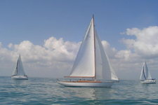 Concordia #17 Actaea