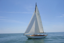 Concordia #17 Actaea