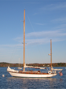 Streamer Concordia #21 Streamer