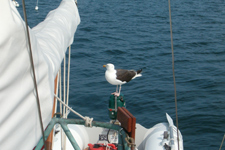 Hero Concordia #22 Hero