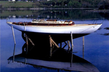 Starlight Concordia #23 Starlight