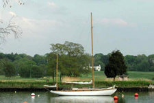 Southport Harbor Concordia #25 Wild Swan