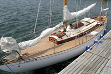 Wild Swan Concordia #25 Wild Swan