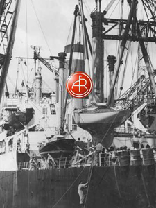 A&R 5005 Concordia #27 Sarah