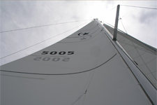 Sarah Concordia #27 Sarah