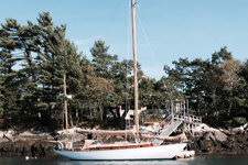 Concordia #29 Feather