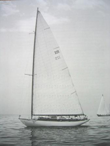 Harrier Concordia #30 Harrier