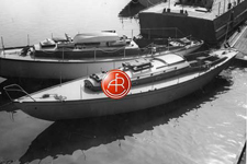 A&R 5037 Concordia #31 Owl