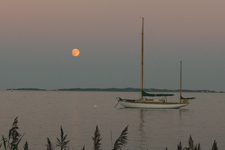 Concordia #34 Mandala