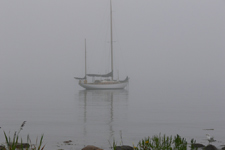 Concordia #34 Mandala