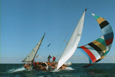 Yankee Concordia #37 Windsong