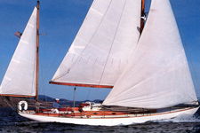 Concordia #39 Donegal