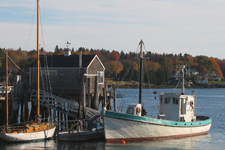 Donegal Concordia #39 Donegal