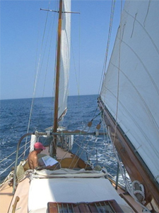 RAKA Concordia #43 Raka