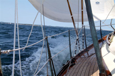 Hull waves Concordia #43 Raka